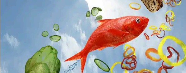 À table ! La santé au menu